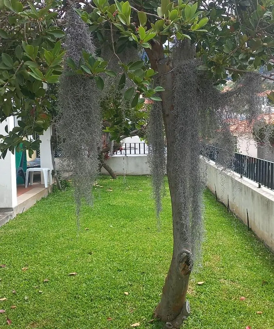 Villa Cosy Nook Funchal  Portugal