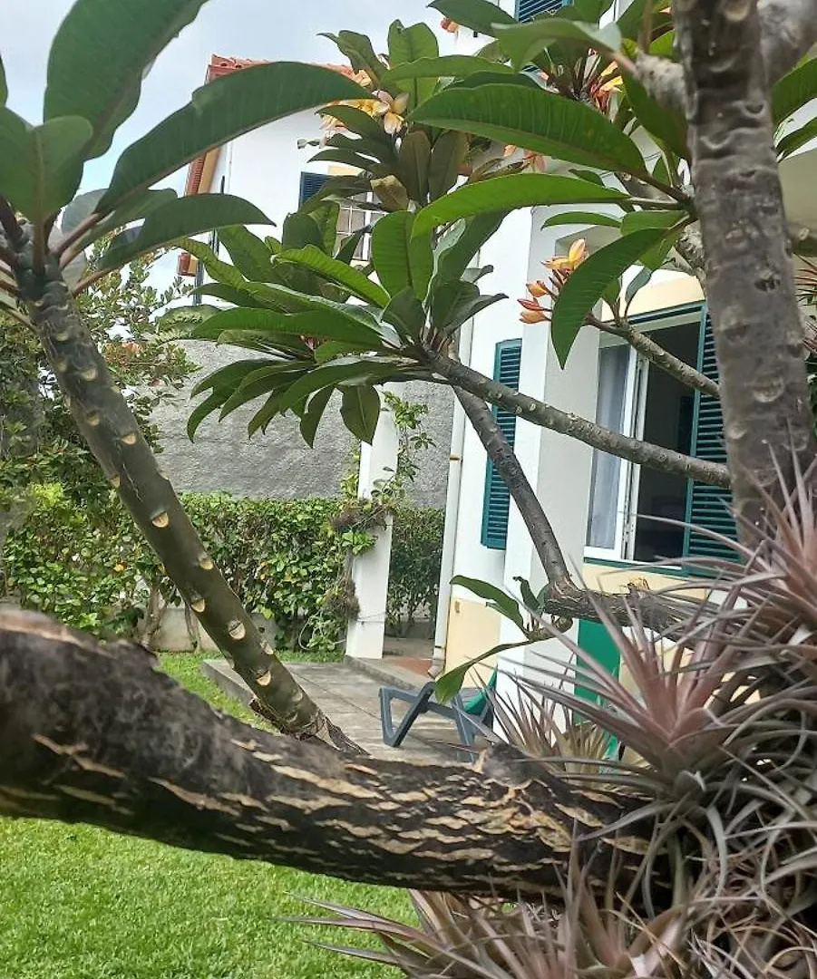 Villa Cosy Nook Funchal  0*, Funchal (Madeira) Portugal