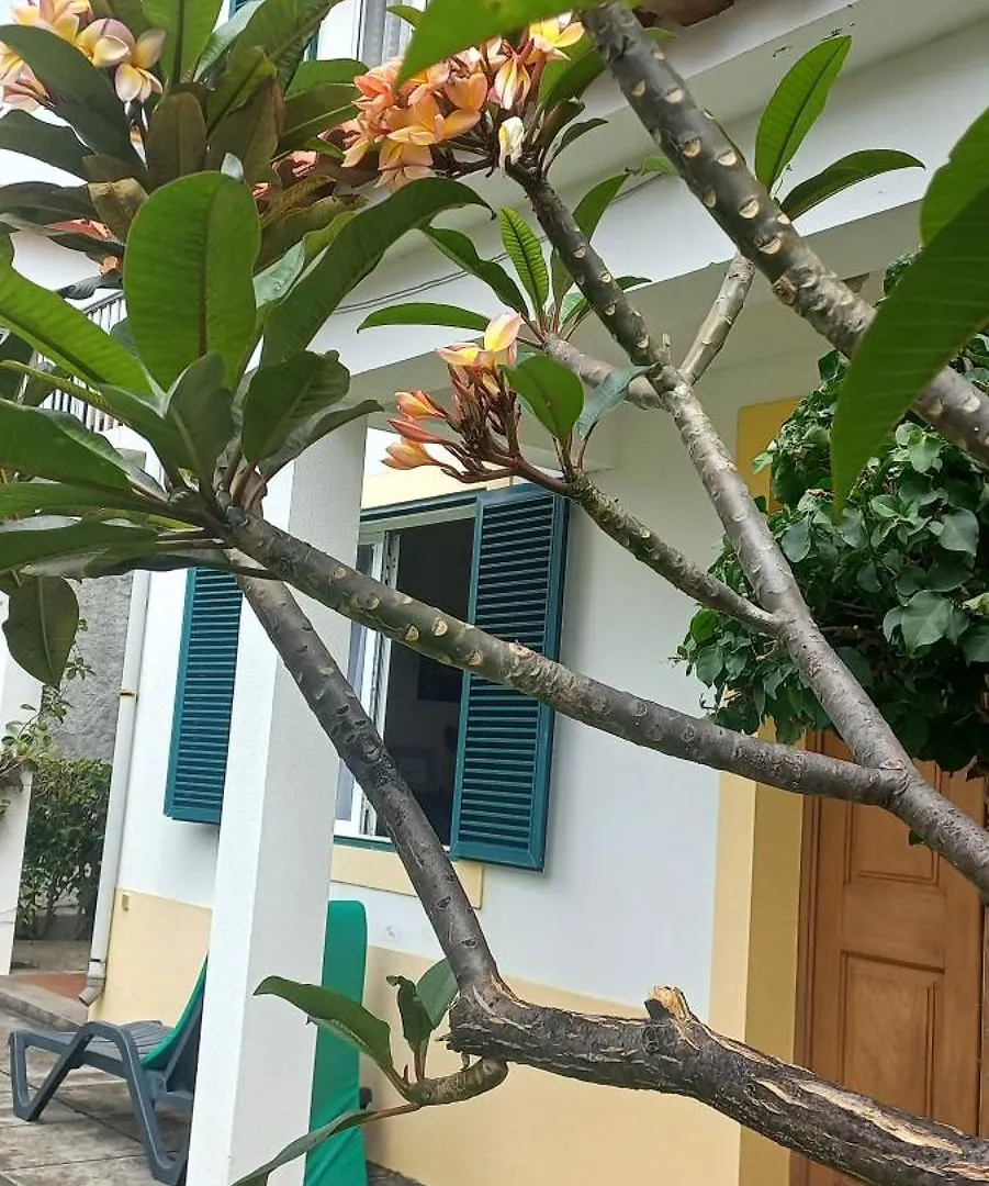 Holiday home Villa Cosy Nook Funchal  Portugal